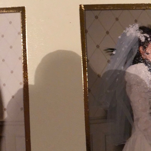 Veil - Picture 4 of 6